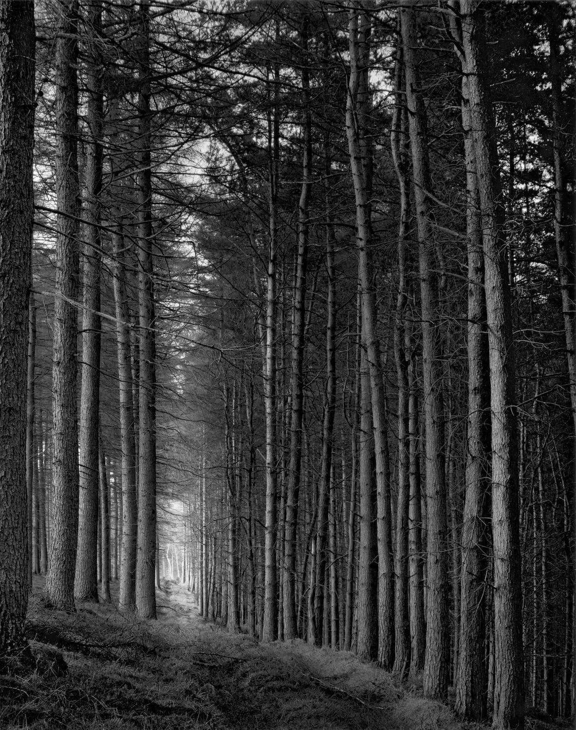 Truncated photobook by Paul Hart — PAUL HART